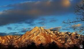 Photo - 1225 Wolf Hollow Ln Unit 310