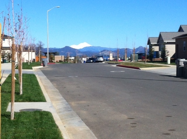 Shasta View