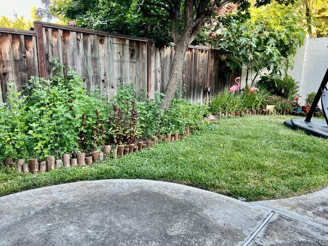 Photo - 34079 Webfoot Loop