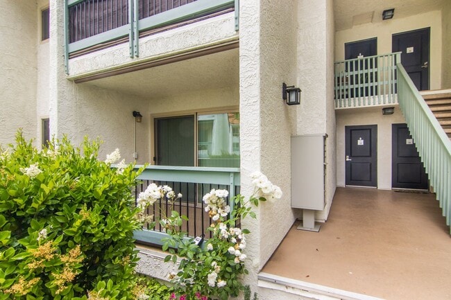 23679 Park Capri Unidad 23679 Park Capri #13