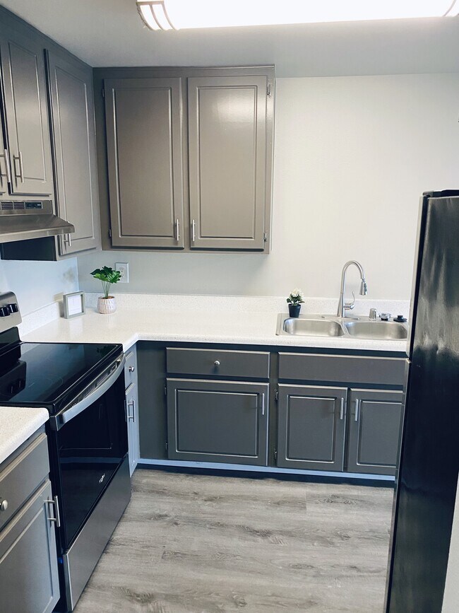 Photo - Ocean Breeze