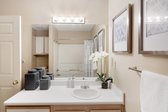 Lexington Pointe Apartment Homes