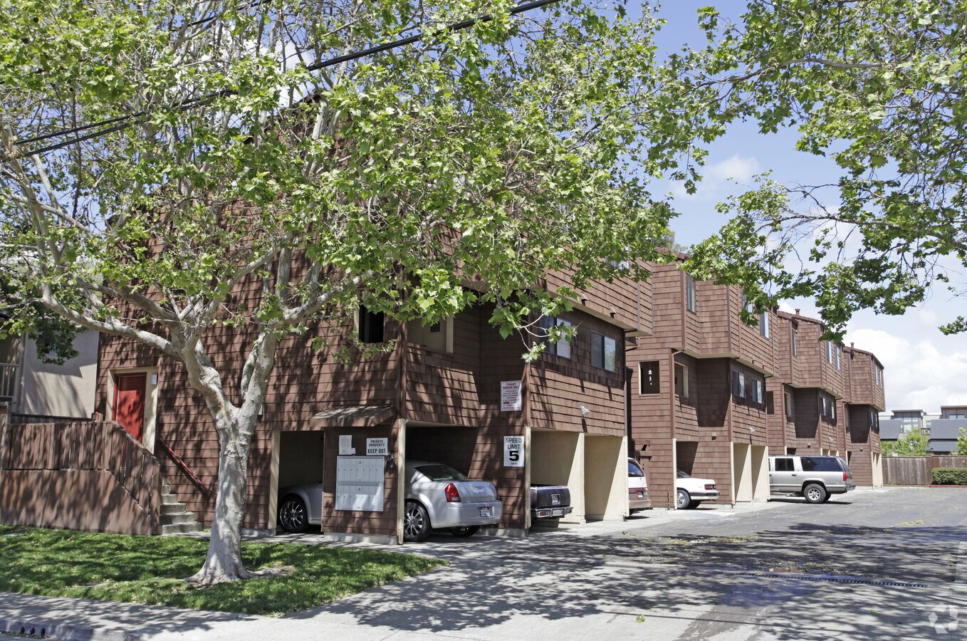 Sycamore Square - Sycamore Square