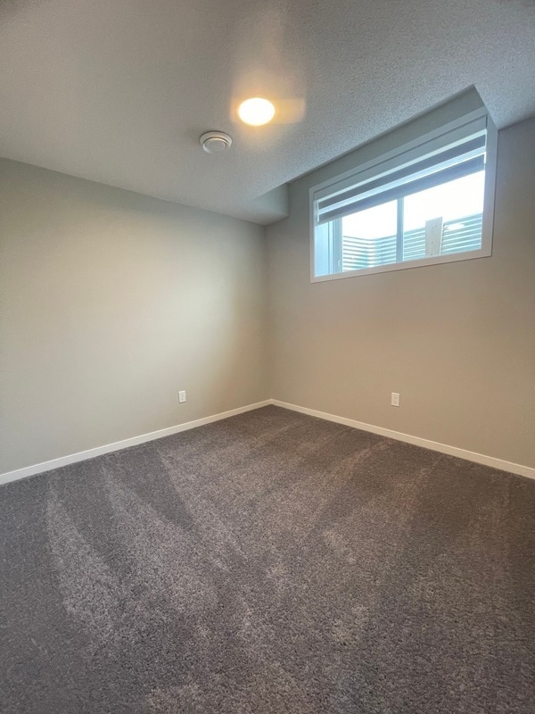 Photo - 20724-20742 42 Avenue NW Unit Basement