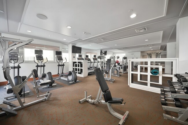 The Vivere Lofts