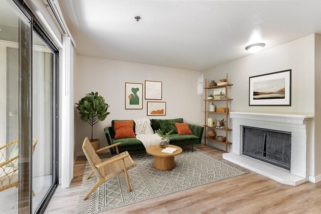 Photo - Enchanted Woods