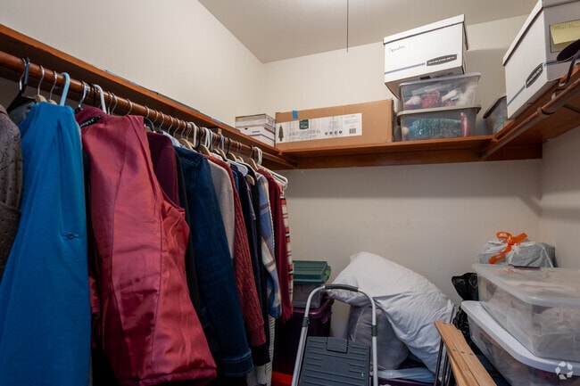 2BR, 1BA - 865SF - Closets