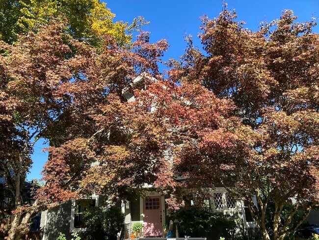 Photo - 3309 NW Thurman St