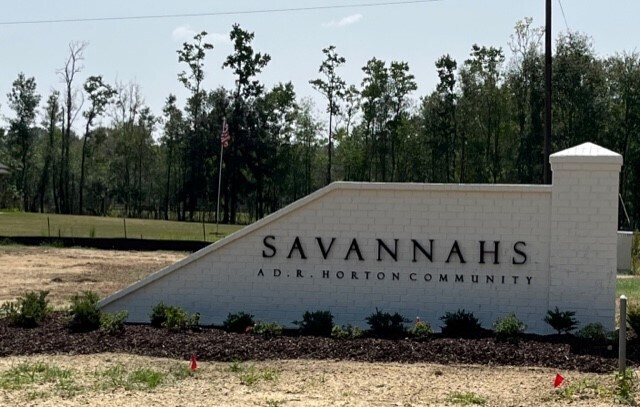 Photo - 23036 Savannahwood Dr