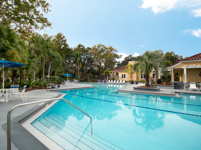 Grande Oasis at Carrollwood - Grande Oasis at Carrollwood Apartamentos