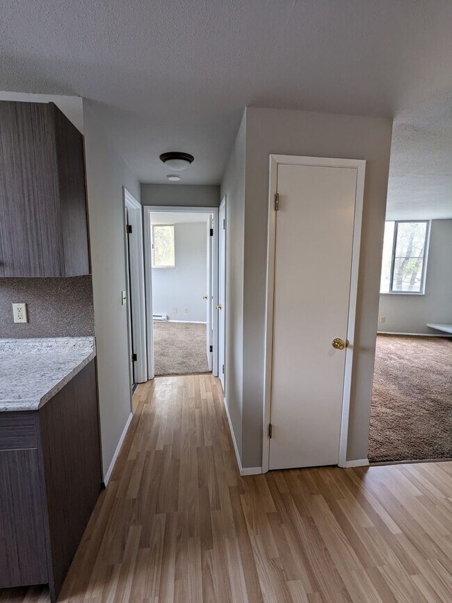 Photo - Dolphin Apartments