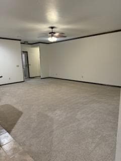 Photo - 313 N Shannon Way