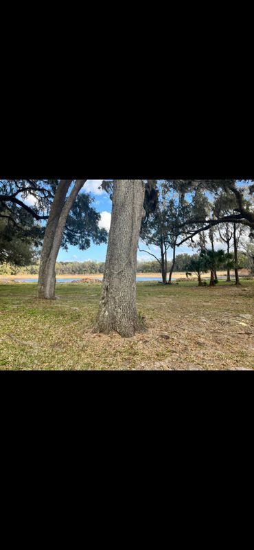 Photo - 18585 NW 43rd Court Rd