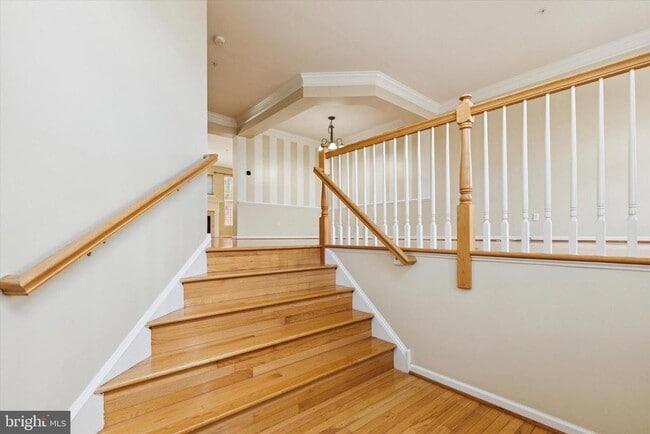 Photo - 172 Fringetree Dr