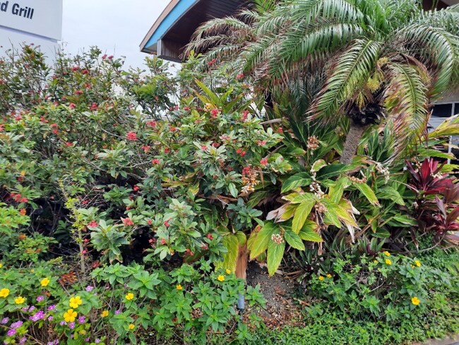 Photo - 512 Phoenix Ave