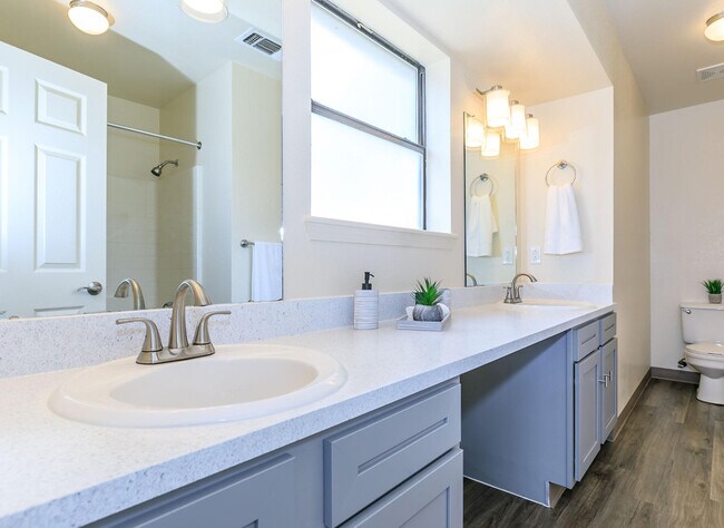 Owner's Bath