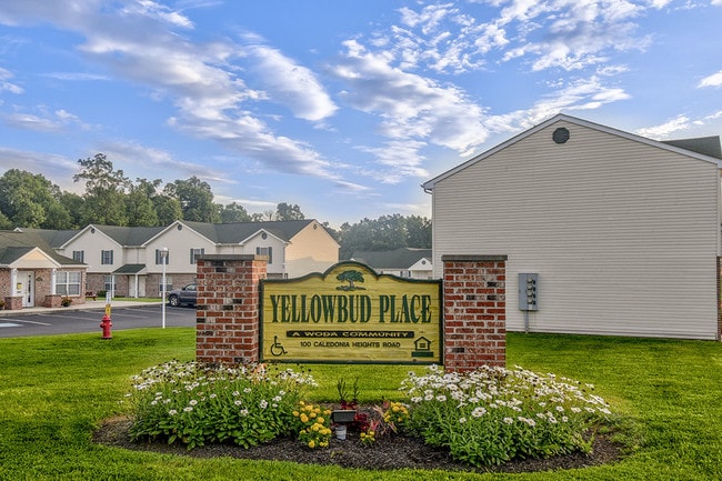 Building Photo - Yellowbud Place Rental