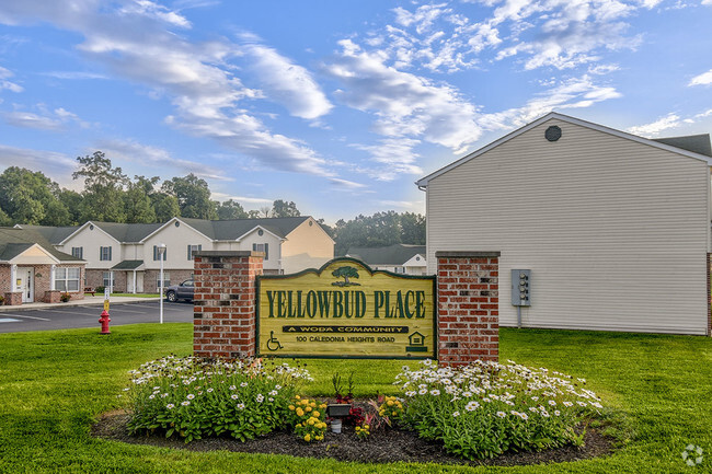 Building Photo - Yellowbud Place Rental