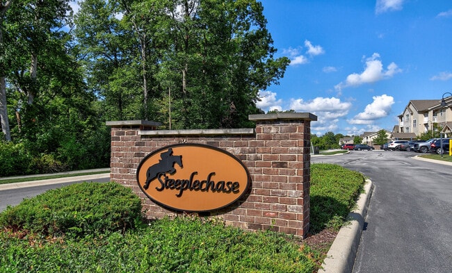 Photo - Steeplechase at Parkview