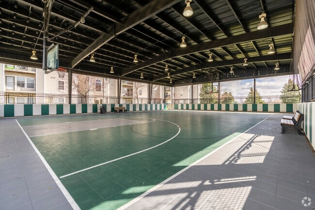 Basketball Court