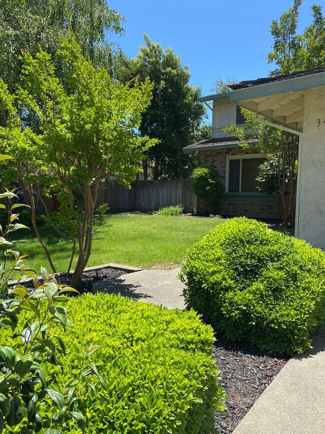 Photo - Coming Soon - Beautifully remodeled 5 bed/... House