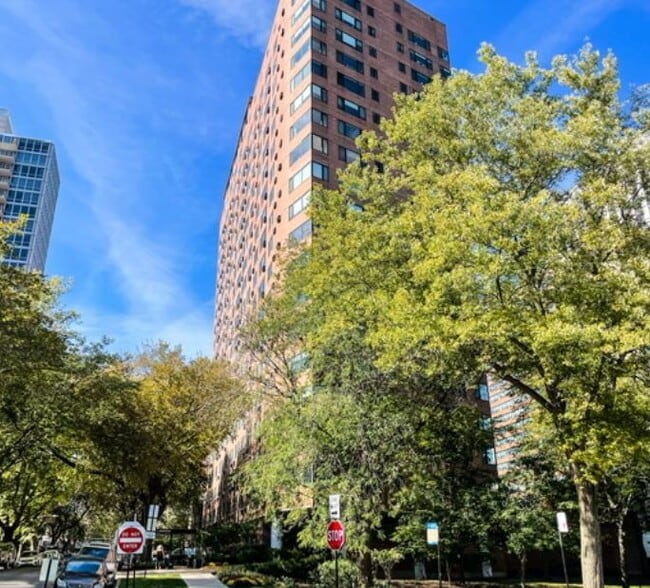Building Photo - 3100 N Lake Shore Dr Unit 1613