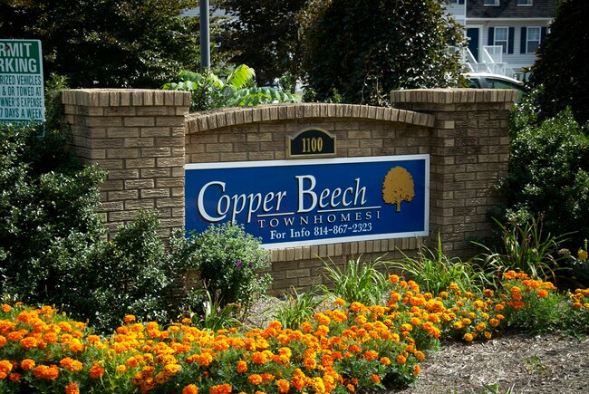 Photo - State College Collective on Aaron