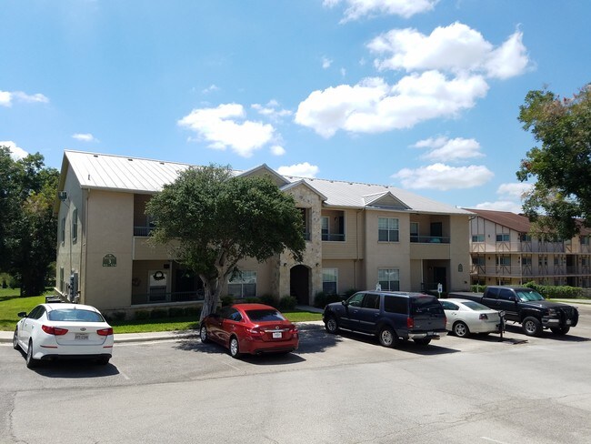 Photo - Cation on the Gaudalupe