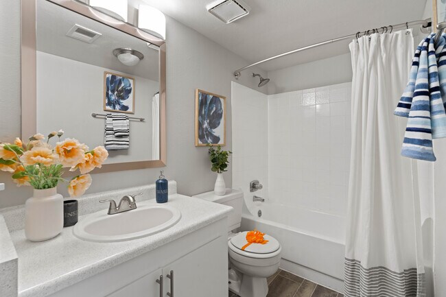 1BR, 1BA - 463SF - Bathroom