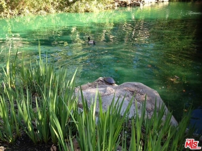 Photo - 1115 Raintree Cir