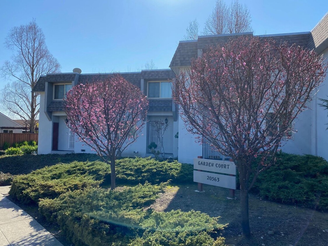 Spacious Updated 2 bed , 1 Bath now Availa... - Spacious Updated 2 bed , 1 Bath now Availa...
