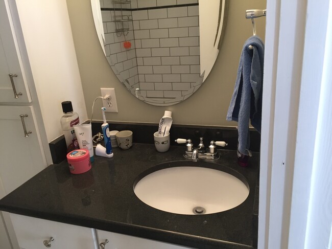 Sink 1 - 129 Greengate Court Townhome