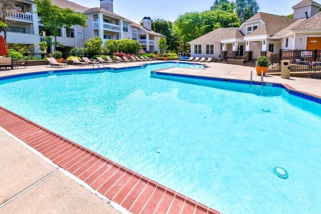 Amenities: Resort Style Swimming Pool - The Apartments at Pike Creek