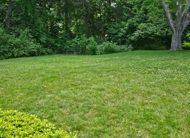 Photo - 20 Condon St