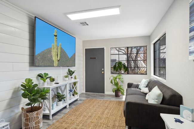 Photo - Tides on Palm