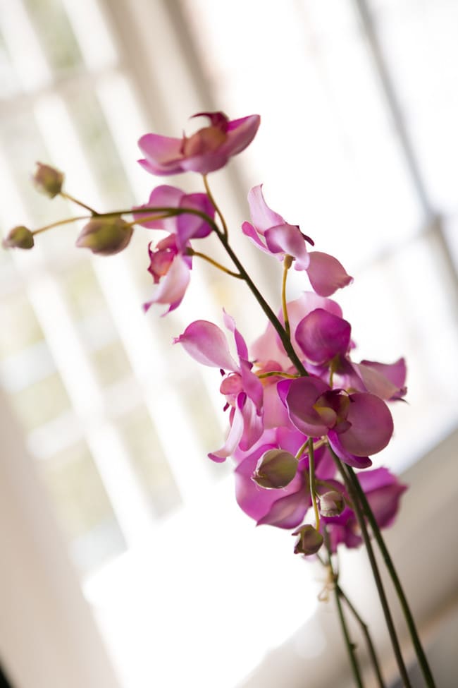 Photo - Green Acres Homes