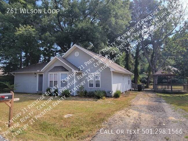 Photo - 261 Wilson Loop