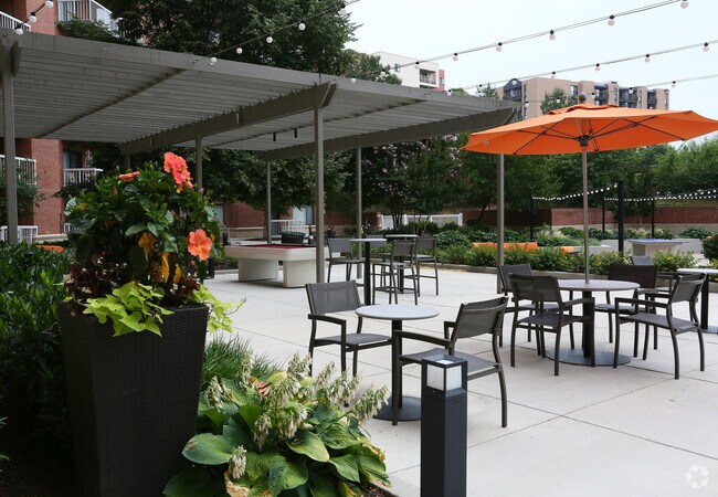 Terraza de servicios - Cortland Landmark