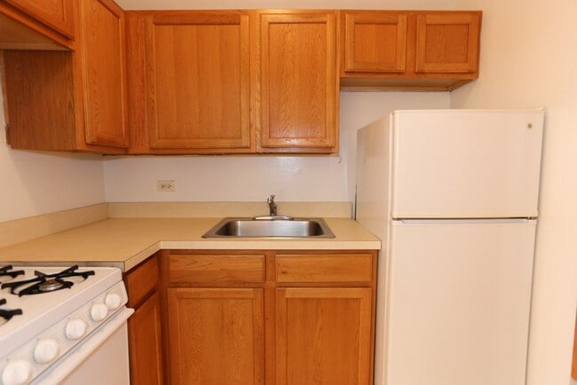 Photo - 1023 N Dearborn St Unit 313