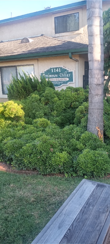 Building Photo - 1141 Persimmon Ave Rental