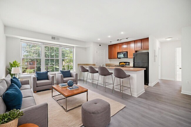 Modern Kitchen and Living Spaces