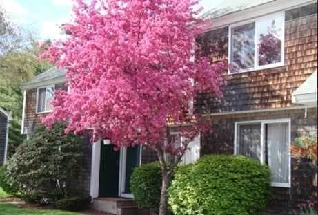 Longley Place Townhomes - Longley Place Townhomes