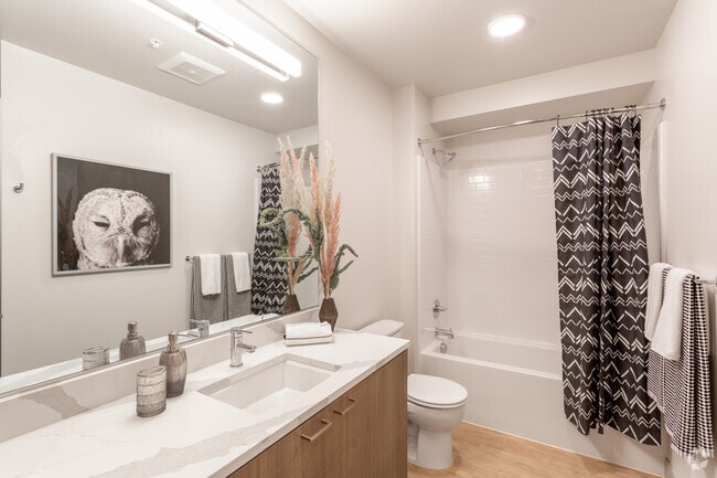 1BR, 1BA - 705 SF