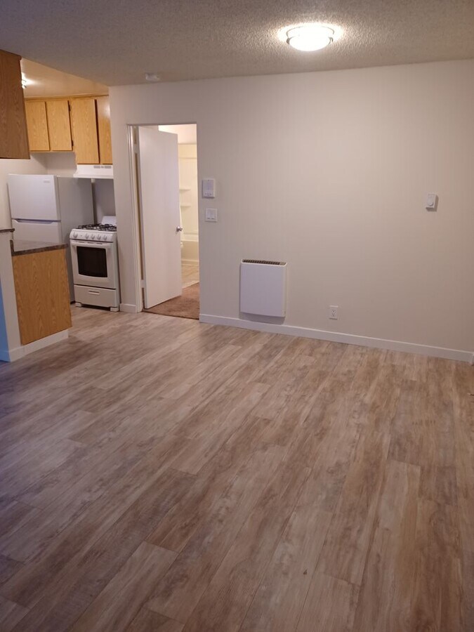 Photo - Fernglen-10237