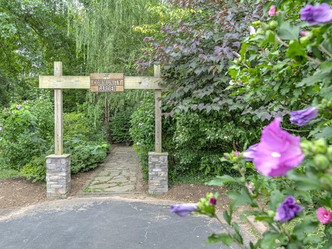 Photo - The Northside at Merrimon