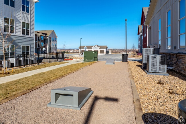 Cornhole