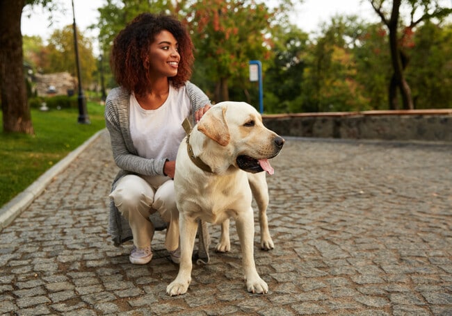 Pet Friendly - Mill Stream Apartments