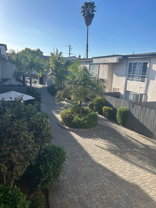 Courtyard - Palm Terrace