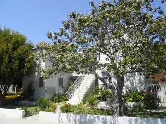 2302 Carmelina Avenue - 2302 S Carmelina Ave Unidad 2