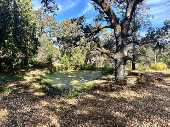 Photo - Stunning Renovated 2 Bedroom 2 Bathroom Farm House on 8 Acres